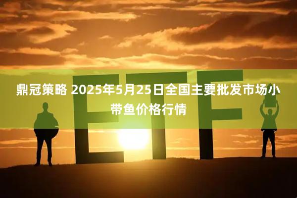 鼎冠策略 2025年5月25日全国主要批发市场小带鱼价格行情